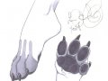 a_1233115776639_epicwang_pawstudy.jpg